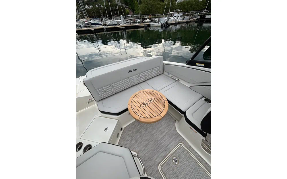 slider 4 Sea Ray 210 SPX