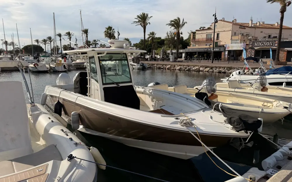 slider 19 Boston Whaler  320 Outrage