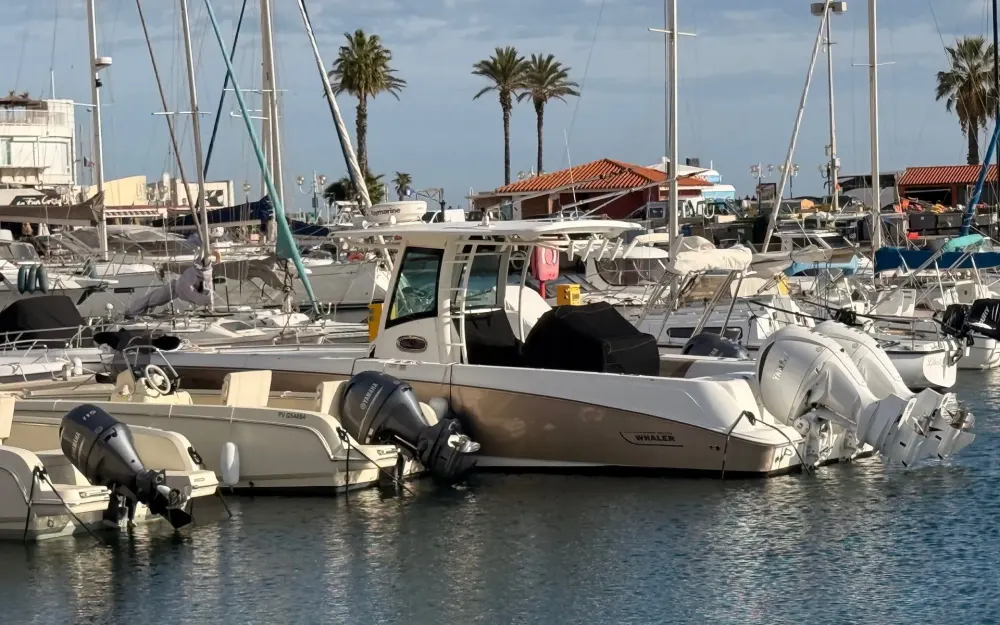 slider 20 Boston Whaler  320 Outrage