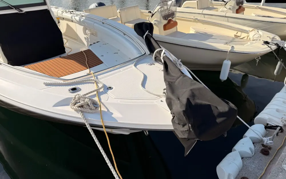 slider 3 Boston Whaler  320 Outrage