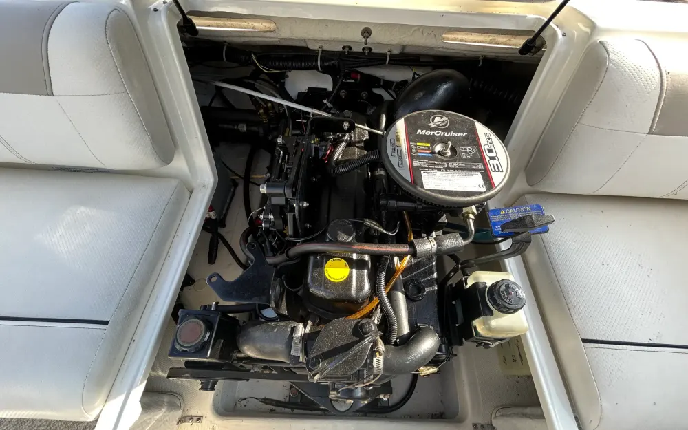 slider 6 Bayliner  175 GT3
