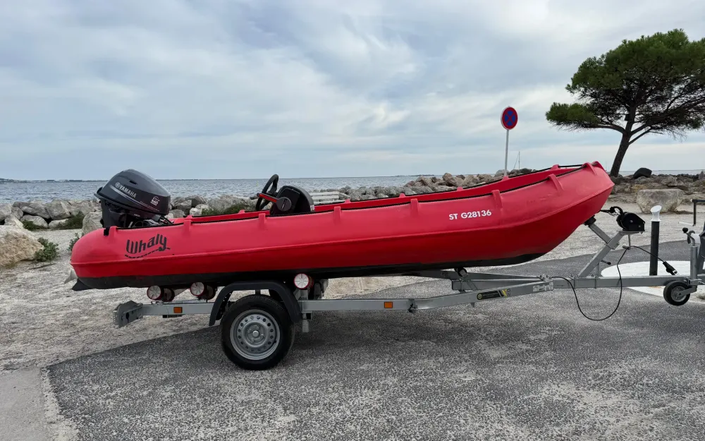 slider 0 Whaly  435R Professionnel