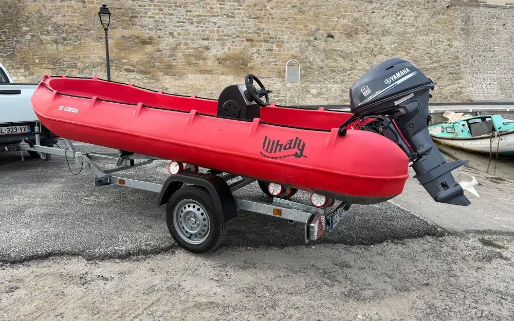 slider 3 Whaly  435R Professionnel