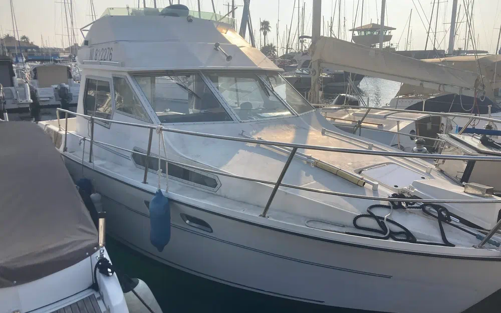 slider 3 Gib Sea Jamaica 30