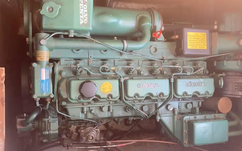 slider 40 Gib Sea Jamaica 30