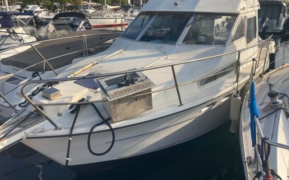 slider 2 Gib Sea Jamaica 30 Fly