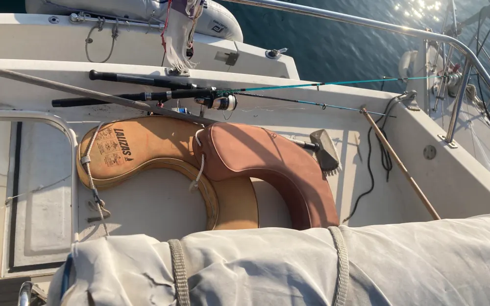 slider 14 Gib Sea Jamaica 30 Fly