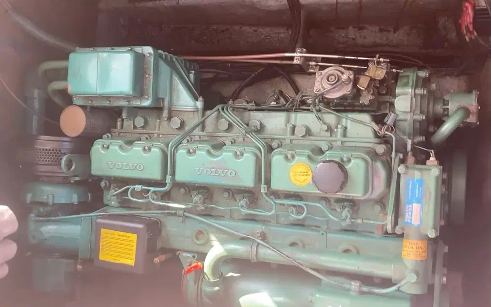 slider 42 Gib Sea Jamaica 30