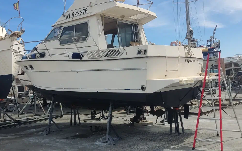 slider 1 Gib Sea Jamaica 30