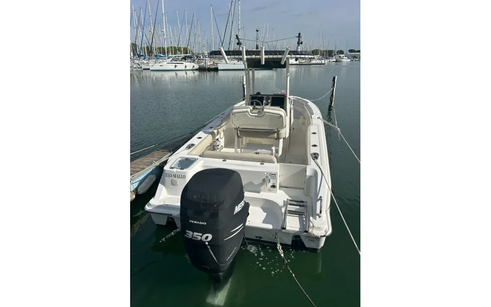 slider 0 Boston Whaler  230 Outrage