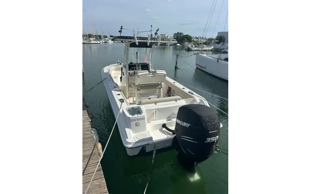 slider 1 Boston Whaler  230 Outrage