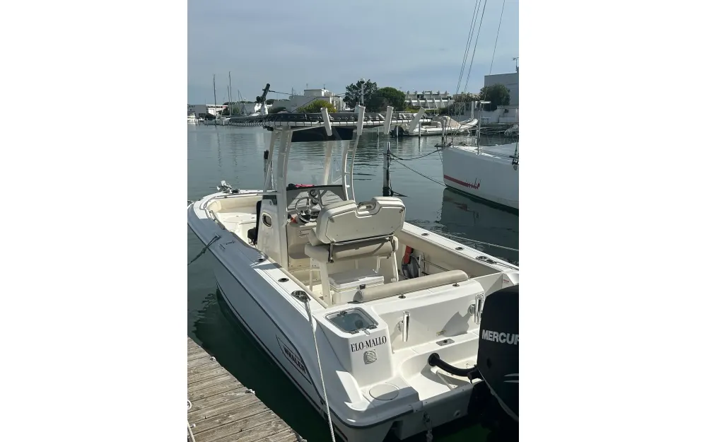 slider 2 Boston Whaler  230 Outrage