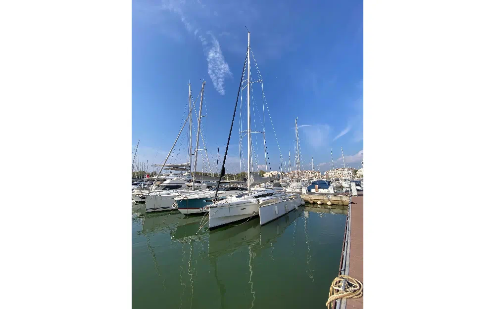 slider 2 Dragonfly  32