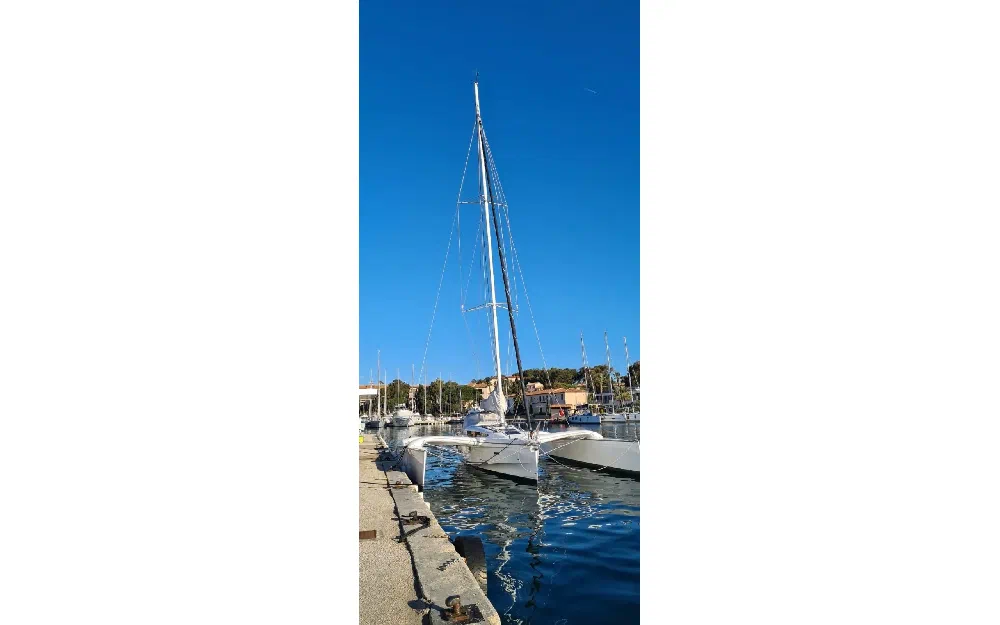 slider 3 Dragonfly  32