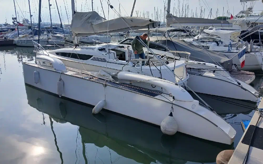 slider 4 Dragonfly  32