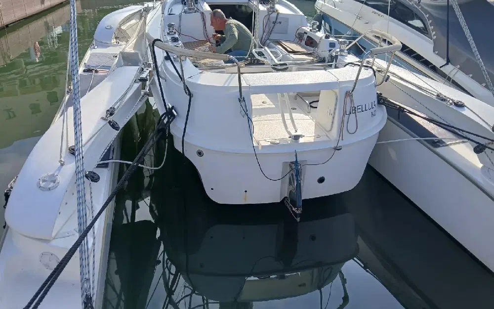 slider 5 Dragonfly  32