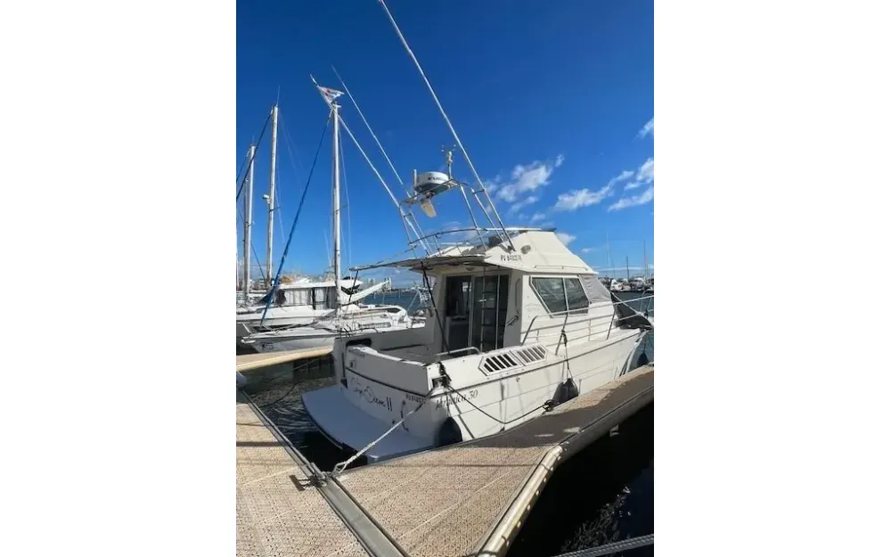 slider 1 Gib Sea Jamaica 30