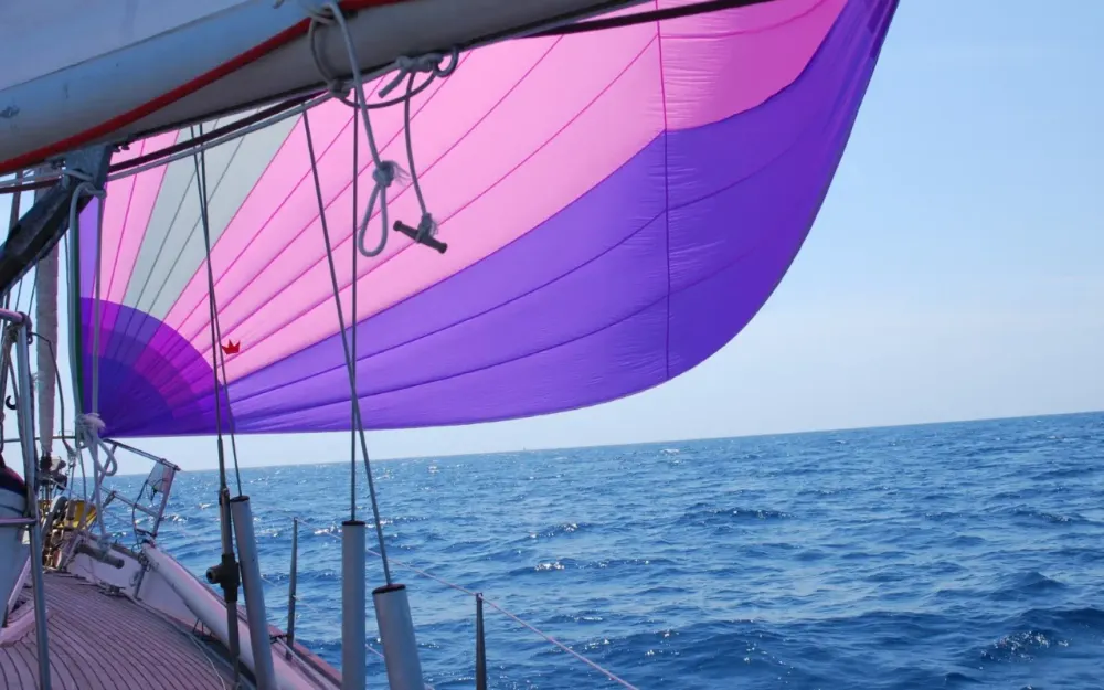 slider 19 Wauquiez Amphitrite 43