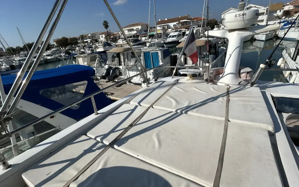 slider 10 Sealine  F 34