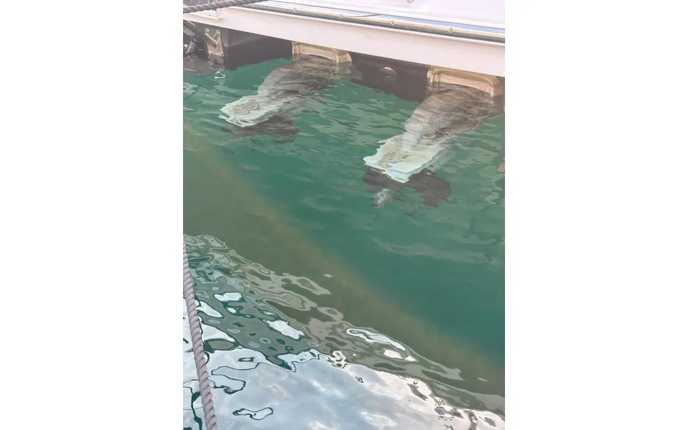 slider 58 Jeanneau Leader 40