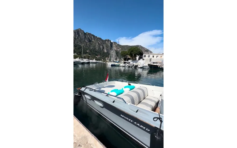 slider 7 Monte Carlo  30