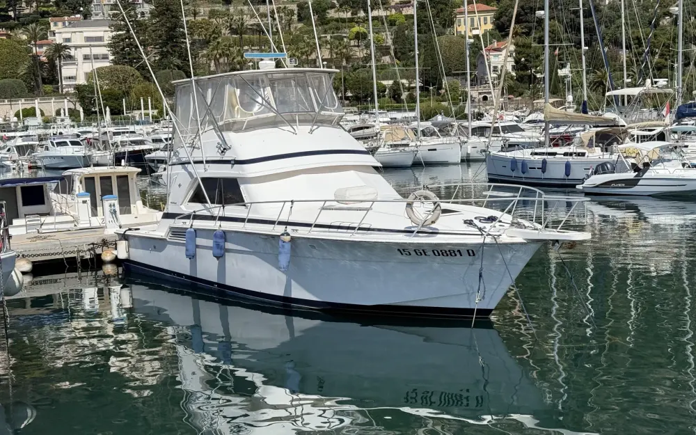 slider 0 Bertram  46 Convertible