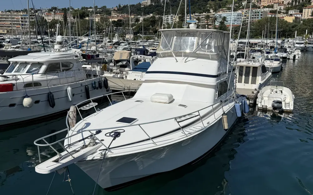 slider 30 Bertram  46 Convertible