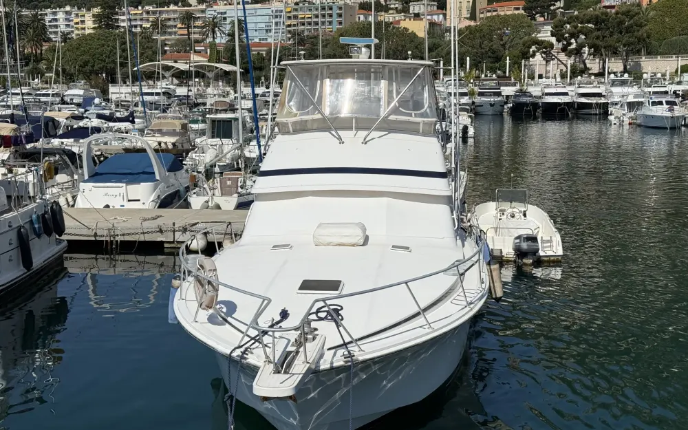 slider 31 Bertram  46 Convertible