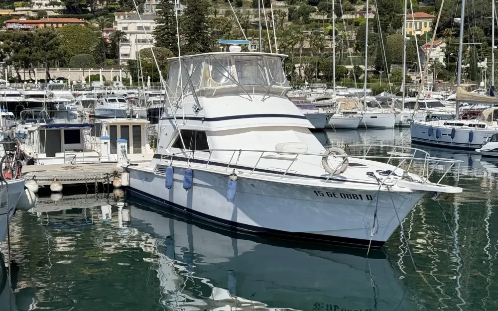 slider 32 Bertram  46 Convertible