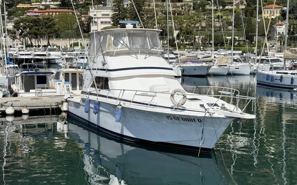 slider 33 Bertram  46 Convertible