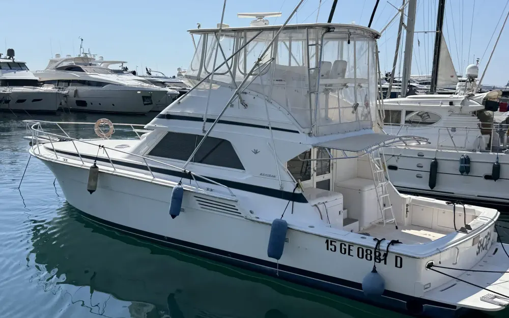 slider 34 Bertram  46 Convertible