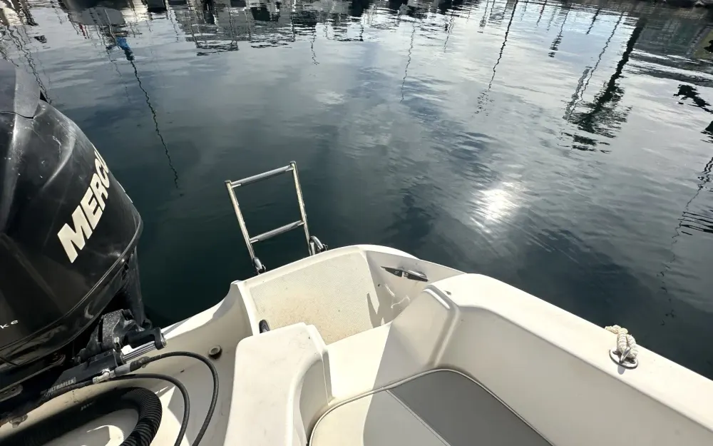 slider 20 Quicksilver  635 Commander