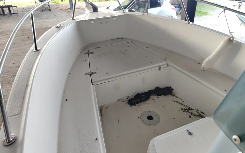 slider 8 Kelt White Shark 175