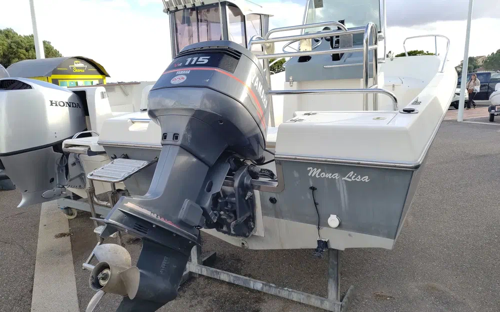 slider 4 Kelt White Shark 175