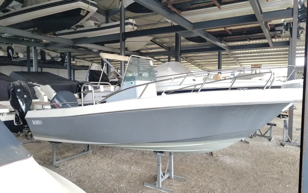 slider 1 Kelt White Shark 175