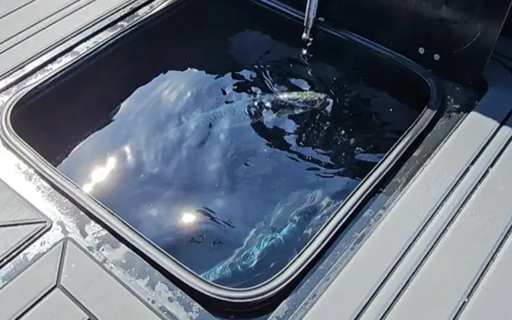 slider 10 Atlanticraft Blackpearl 7.0