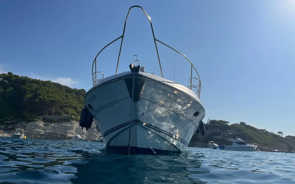 slider 6 Sunseeker Travado 40