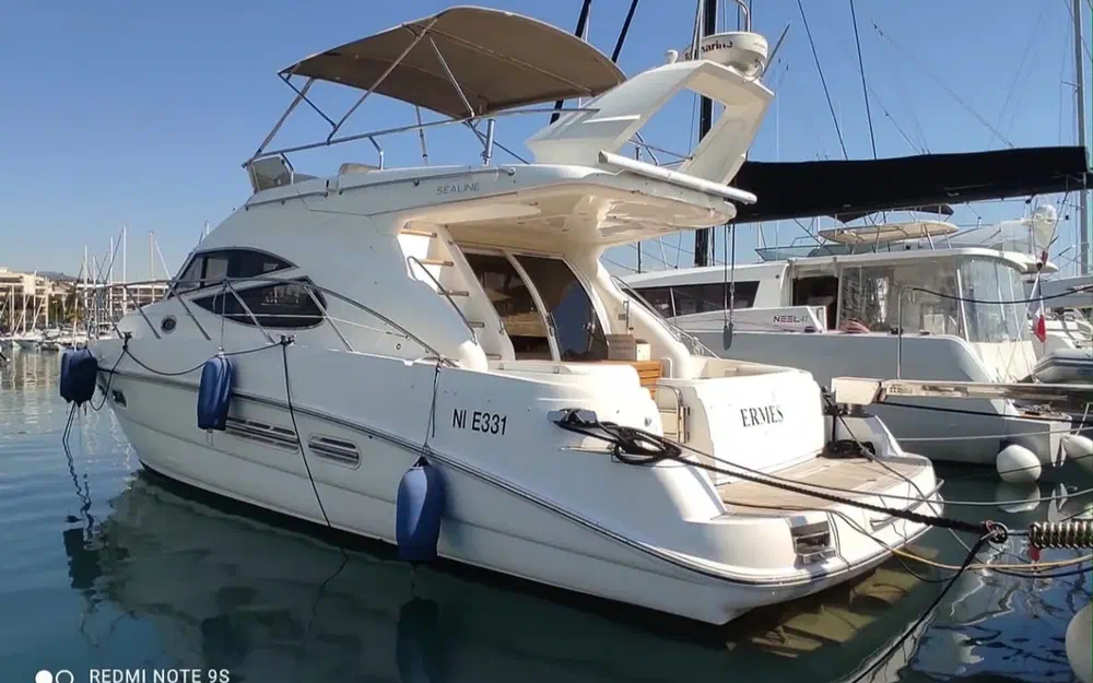 SealineSealine 42.5