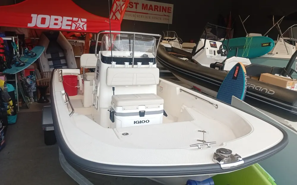 slider 1 Boston Whaler  150 Montauk