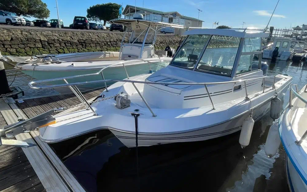 slider 2 Sea Hawk 226