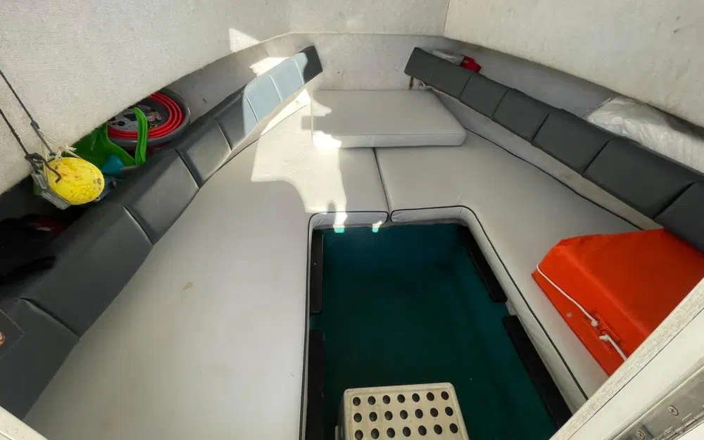 slider 17 Sea Hawk 226