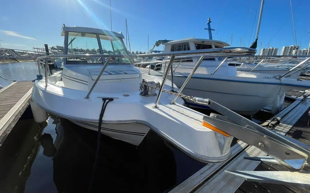 slider 1 Sea Hawk 226