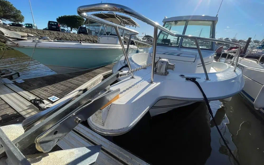 slider 3 Sea Hawk 226