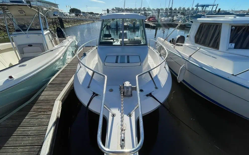 slider 4 Sea Hawk 226