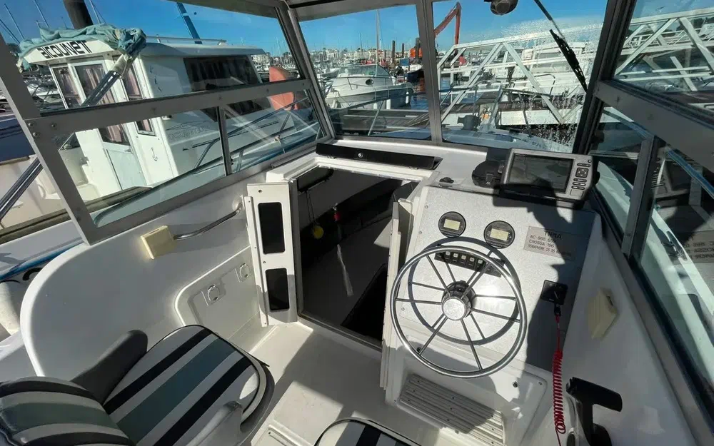 slider 5 Sea Hawk 226