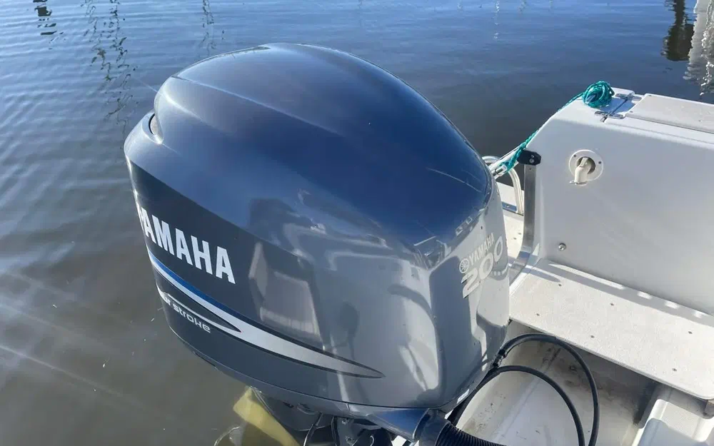 slider 19 Sea Hawk 226