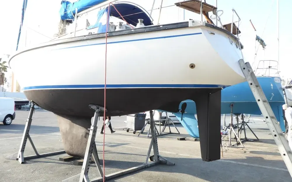 slider 34 Dufour  31