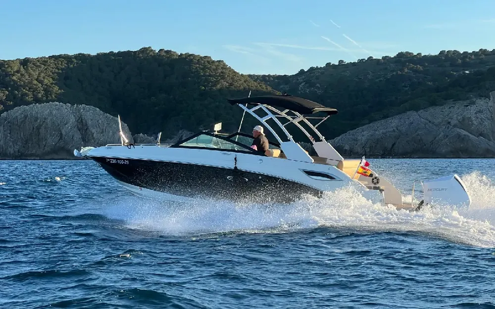 slider 9 Sea Ray  250 SDXE