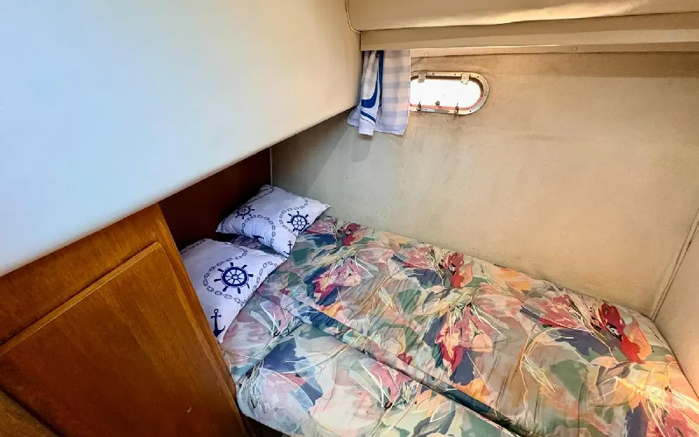 slider 19 Carver  370 Voyager