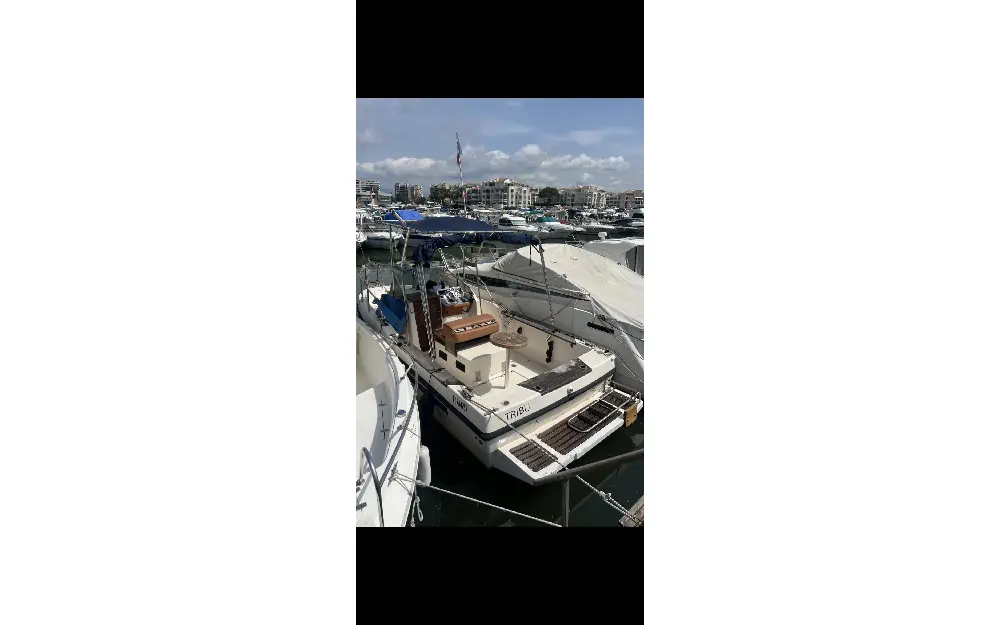 slider 9 Rio  630 Cabin Fish